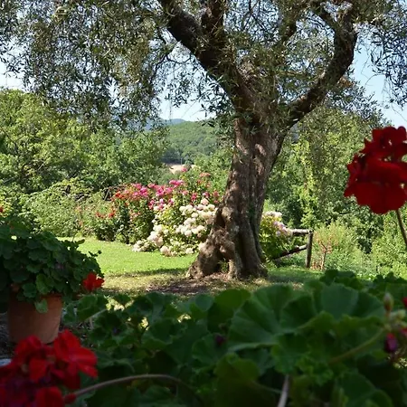 Alloggio per agriturismo Fiore *